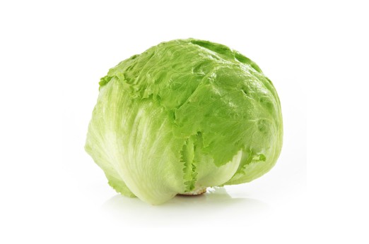 Lechuga Iceberg