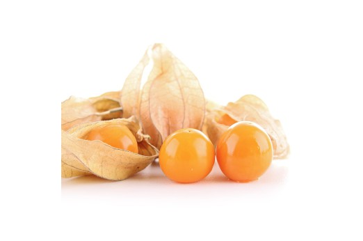 Physalis Amarillo